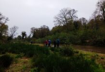 Sir Thomas Roe’s Attempt to Take the Golden Gate Statues
