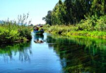 Karageorge Builds a New Servia