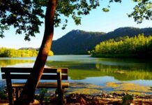 Egyptian Claims About Cambyses’ Origin