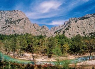 The Desertion of Phanes